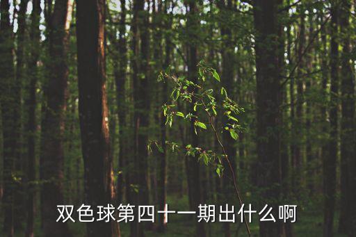 看光了第四十一期，雙色球第四十一期出什么啊