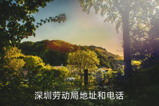 深圳勞動局，深圳市勞動保障局