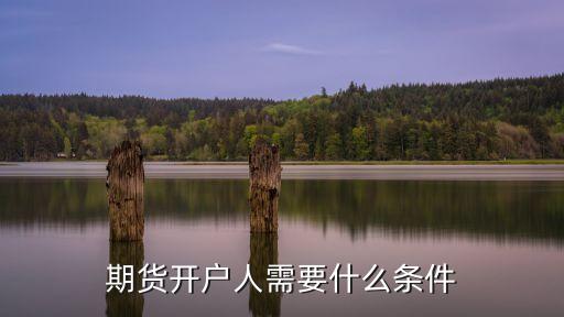 期貨開戶人需要什么條件