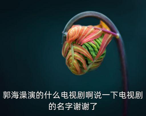 郭海澡演的什么電視劇啊說一下電視劇的名字謝謝了