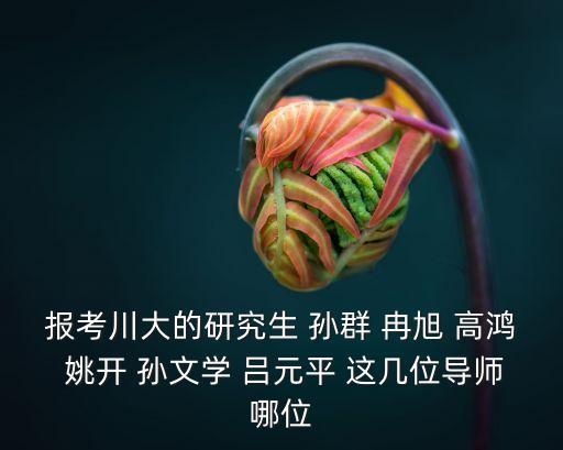 孫文學(xué)，報考川大的研究生 孫群 冉旭 高鴻 姚開 孫文學(xué) 呂元平 這幾位導(dǎo)師哪位