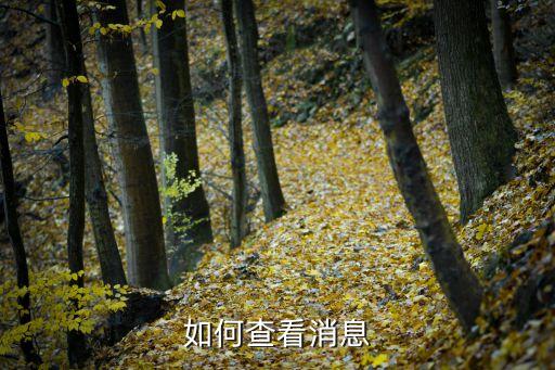 查信息，如何查看消息