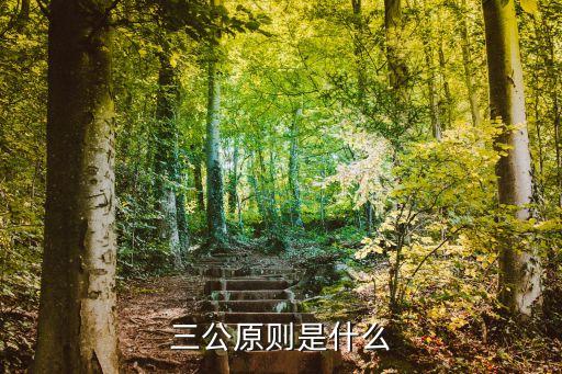 信息公平，政府采購中采購機構(gòu)可以向不同的投標人提供不同的信息為什么是錯