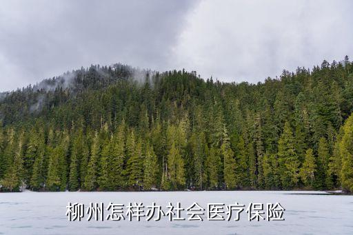 柳州怎樣辦社會醫(yī)療保險
