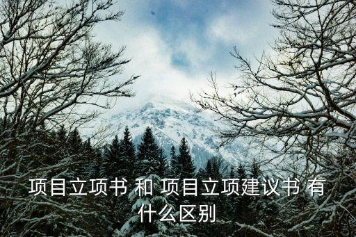 項(xiàng)目立項(xiàng)書(shū) 和 項(xiàng)目立項(xiàng)建議書(shū) 有什么區(qū)別