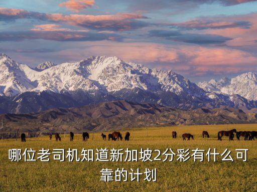 新2彩，哪位老司機知道新加坡2分彩有什么可靠的計劃