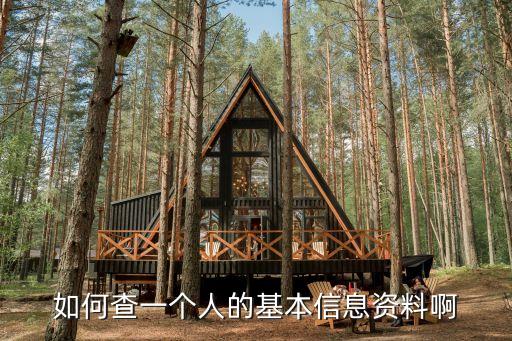 個人資料怎么查，怎樣查到個人資料