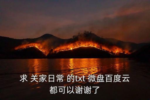 求 關(guān)家日常 的txt 微盤百度云都可以謝謝了