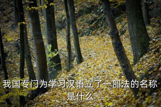 通用語(yǔ)言文字法，我國(guó)專(zhuān)門(mén)為學(xué)習(xí)漢語(yǔ)立了一部法的名稱(chēng)是什么