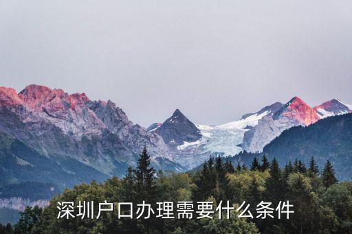 深圳戶口辦理需要什么條件