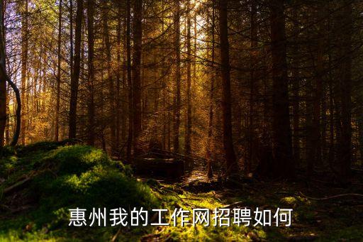 惠州在線，網(wǎng)站 httpwwwkaixinpincom 是不是惠州論壇