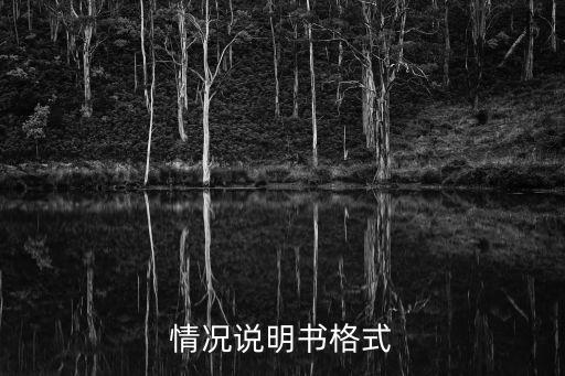 情況說明書格式
