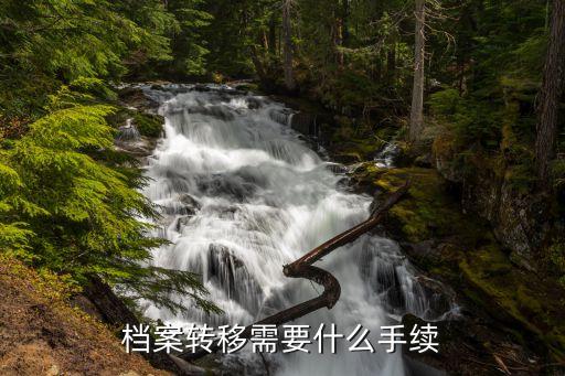檔案轉(zhuǎn)移需要什么手續(xù)