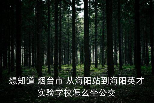 想知道 煙臺市 從海陽站到海陽英才實驗學(xué)校怎么坐公交