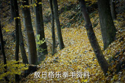 敖日格樂拳手資料