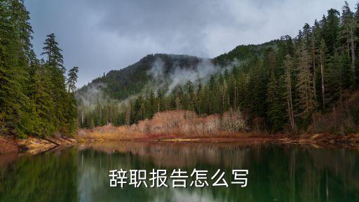 辭職報告怎么寫