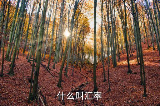 匯率是什么，什么叫匯率