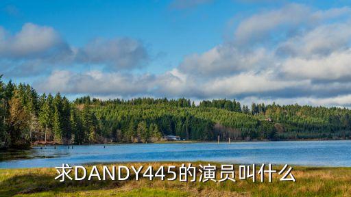 求DANDY445的演員叫什么