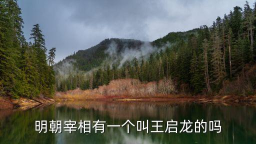 明朝宰相有一個(gè)叫王啟龍的嗎