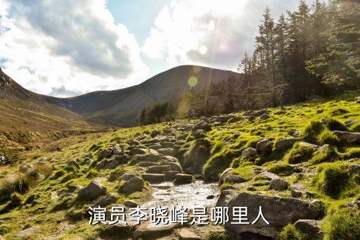 演員李曉峰是哪里人