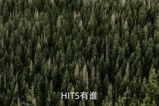 HIT5有誰