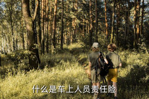 什么是車上人員責(zé)任險(xiǎn)