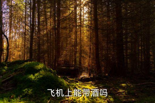 飛機可以帶白酒嗎，飛機上能不能帶白酒