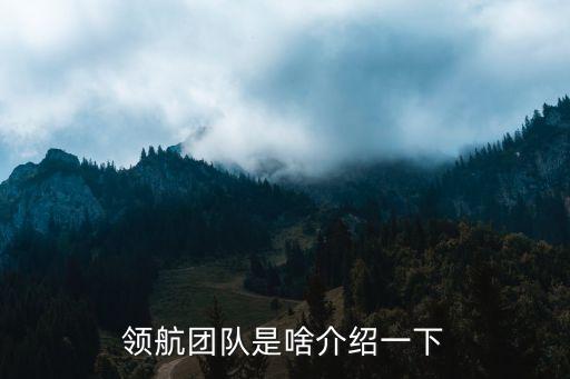 領(lǐng)航團(tuán)隊，領(lǐng)航團(tuán)隊是做什么的是哪一方面的有知道的嗎