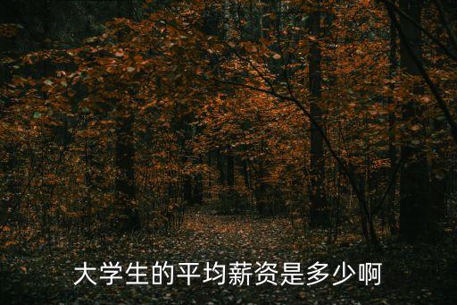 大學(xué)生平均工資，大學(xué)生的平均薪資是多少啊