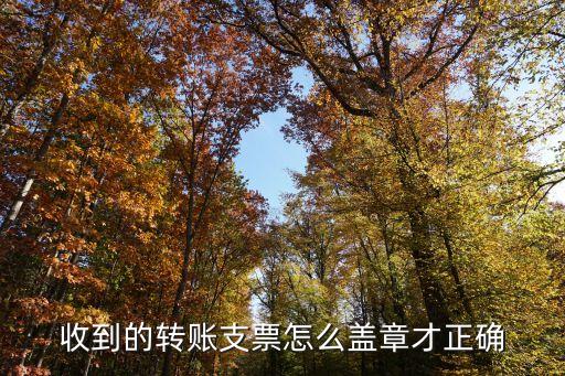 支票蓋章規(guī)范圖，收到的轉(zhuǎn)賬支票怎么蓋章才正確