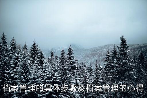 檔案管理的六大步驟，如何進(jìn)行檔案管理