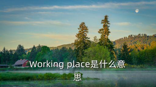 Working place是什么意思