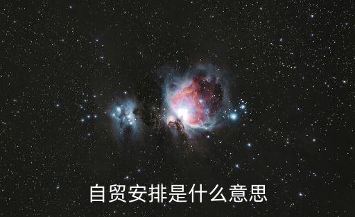 自貿(mào)安排是什么意思