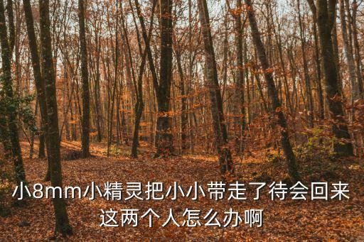 小8mm小精靈把小小帶走了待會(huì)回來這兩個(gè)人怎么辦啊
