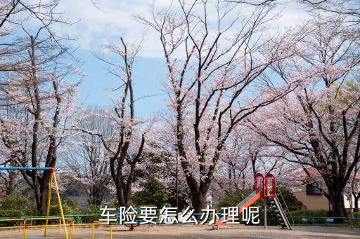 車險要怎么辦理呢