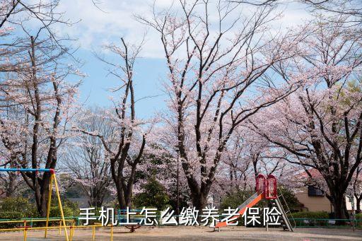 養(yǎng)老保險怎么交網(wǎng)上繳費(fèi)，怎樣從手機(jī)上交養(yǎng)老保險