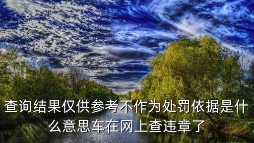 查詢結(jié)果僅供參考不作為處罰依據(jù)是什么意思車在網(wǎng)上查違章了