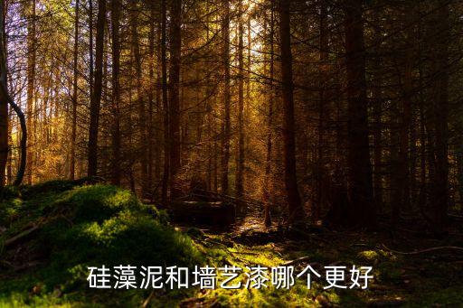 墻藝裝飾，新彩墻藝裝飾怎么樣