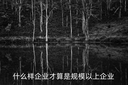 規(guī)模以上企業(yè)劃分標準，什么樣企業(yè)才算是規(guī)模以上企業(yè)