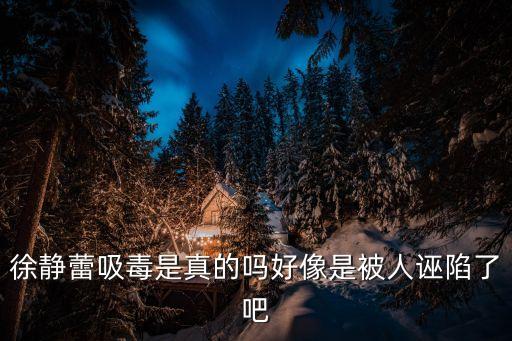 徐靜蕾吸毒是真的嗎好像是被人誣陷了吧