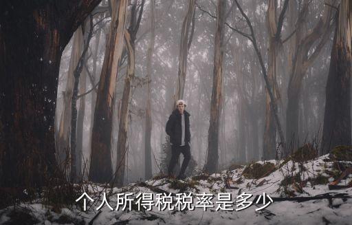 個(gè)人所得稅稅率表，誰知道現(xiàn)在的個(gè)人所得稅率表