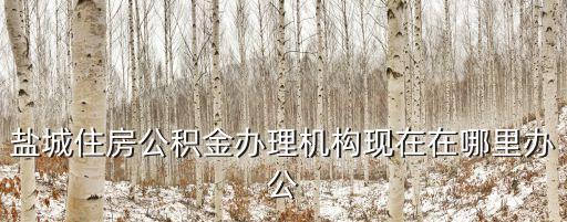 鹽城住房公積金辦理機(jī)構(gòu)現(xiàn)在在哪里辦公