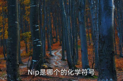 Nip是哪個的化學(xué)符號