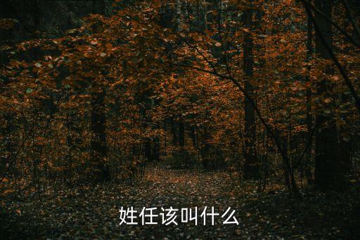 任彬，廣西衛(wèi)視 警戒線 2012 04 30期 飾姚振海男演員叫什么