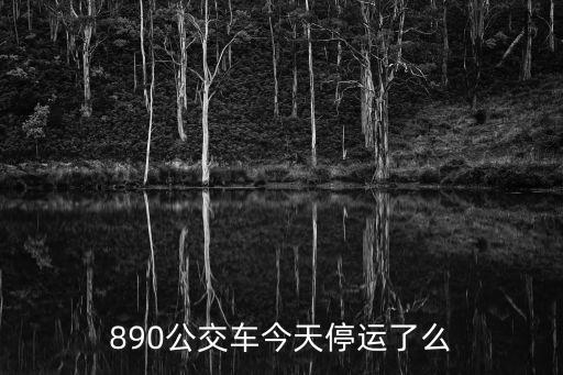 890公交車今天停運(yùn)了么