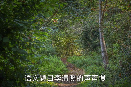語(yǔ)文題目李清照的聲聲慢