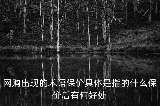 保價(jià)，網(wǎng)購出現(xiàn)的術(shù)語保價(jià)具體是指的什么保價(jià)后有何好處