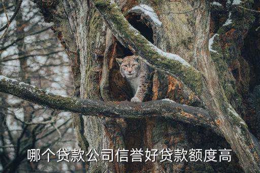 哪個貸款公司信譽(yù)好貸款額度高