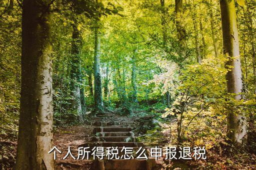 個(gè)人所得稅怎么申報(bào)退稅，個(gè)稅怎么申報(bào)退稅