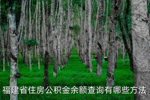 泉州公積金查詢，求泉州市住房公積金查詢網(wǎng)站